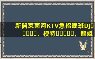 新開萊茵河KTV急招晚班DJ、模特，龍姐在杭州帶你上班